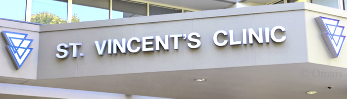 Premium CSS Template